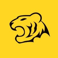 TigerWit Group