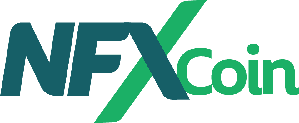 NFX Digital Services LLC logo