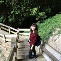 Miao Gao