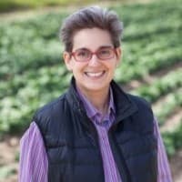 Debra Lutz