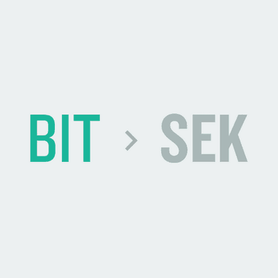 Bitsek logo