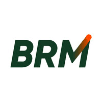 BRM Capital logo