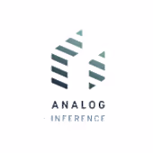 Analog Inference