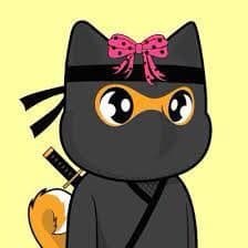 Baby Shibnobi Musk logo