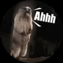 Roaring Groundhog logo