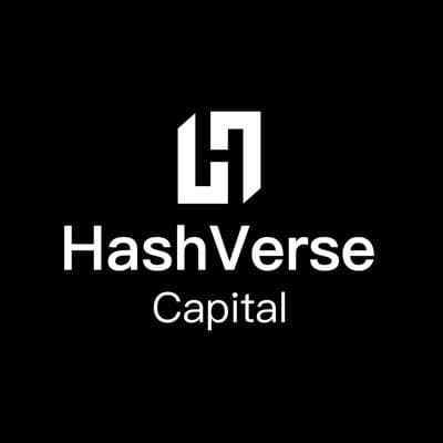 HashVerse Capital logo