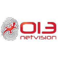 013 Netvision logo