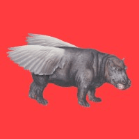 Flying Hippo Brand + Digital logo