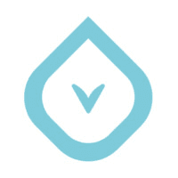 VeriSolutions logo