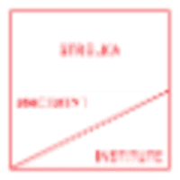 Strelka Institute for Media Architecture and Design logo