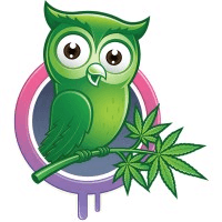 Budding Technologies, Inc logo