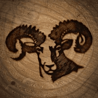 Blacksheep Regenerative Resource Management logo