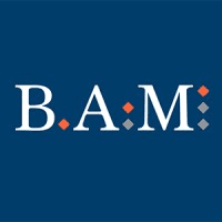 Balyasny Asset Management L.P. logo