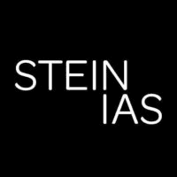 Stein IAS logo