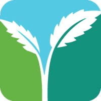 Viridian Staffing logo