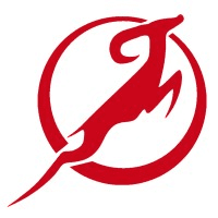 Fast Forward Advisors logo