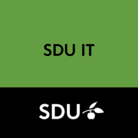 SDU IT logo