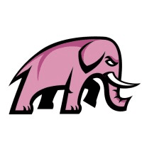 Pink Elephant Strategy logo