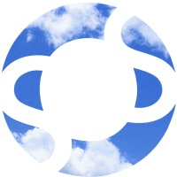 Stock & Option Solutions logo