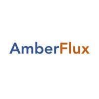 AmberFlux EdgeAI Private Limited logo