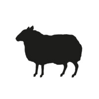 BBH Global logo