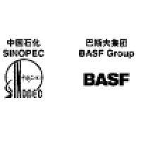 BASF-YPC COMPANY LIMITED logo