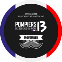 Service départemental d'incendie et de secours des Bouches-du-Rhône (SDIS 13) logo