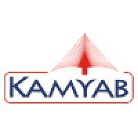 Kamyab Infotech Pvt Ltd logo