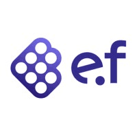 e.fundamentals  logo