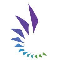 Capital Innovators logo