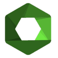 Spectrum Consulting Group logo