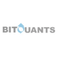 Bitquants™ logo