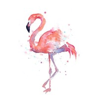 amaBele Project Flamingo NPC logo