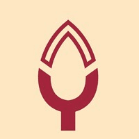 Yash Pakka Limited logo