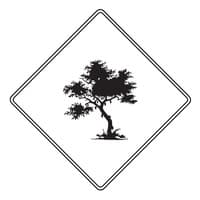 Taste Artisan Chocolate logo