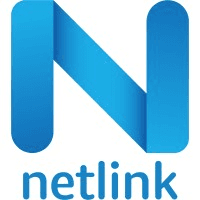 Netlink Software Group America Inc logo