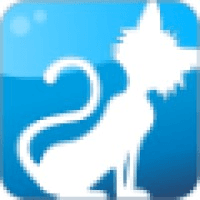 Curious Cat Company logo