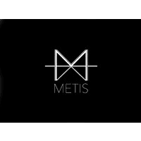 Metis Atash Fine Art LLC logo