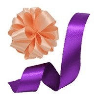 Ribbons and Bows Gifting logo