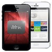 The Wink Initiative Inc logo