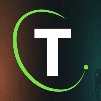 TeamWork Online logo