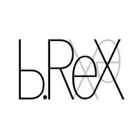 b.ReX GmbH logo